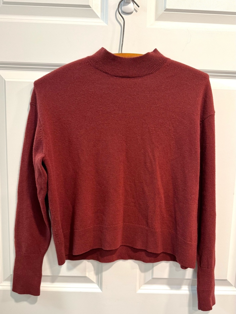 Everlane Cashmere Mockneck Sweater